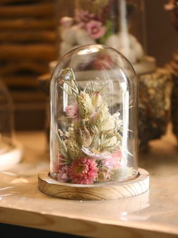 Plantes Séchées Cloche
